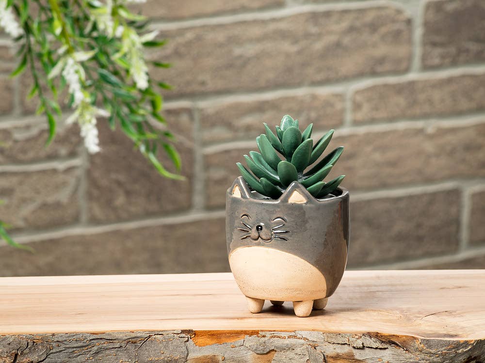 Cat Planter