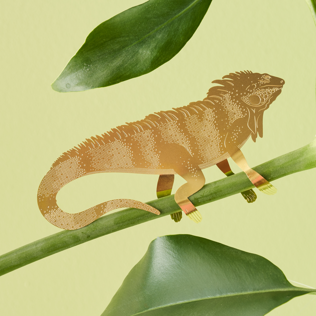 Plant Animal Iguana - brass plant decor