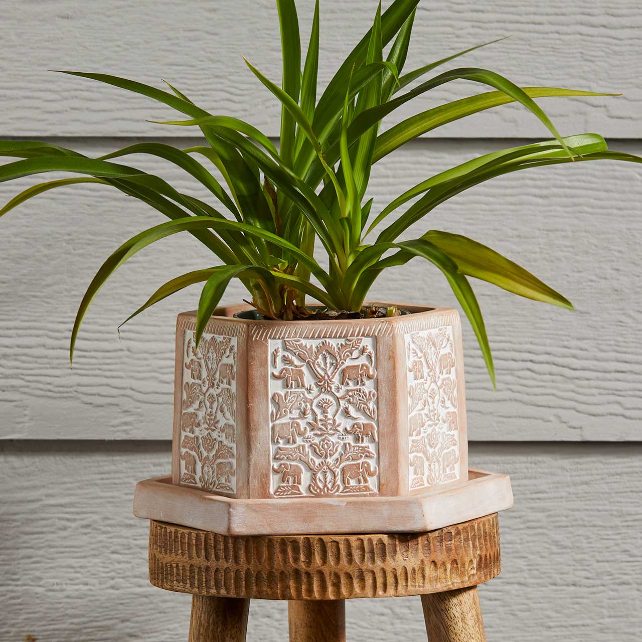 Geo Elephant Terracotta Planter