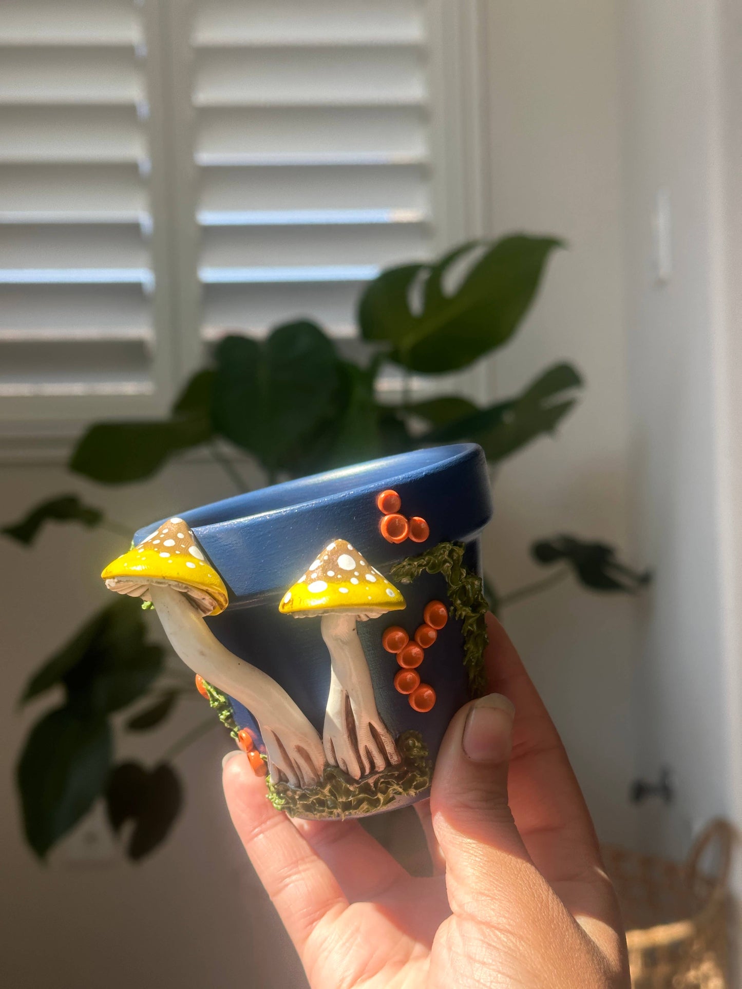 Mushroom Plant Pots