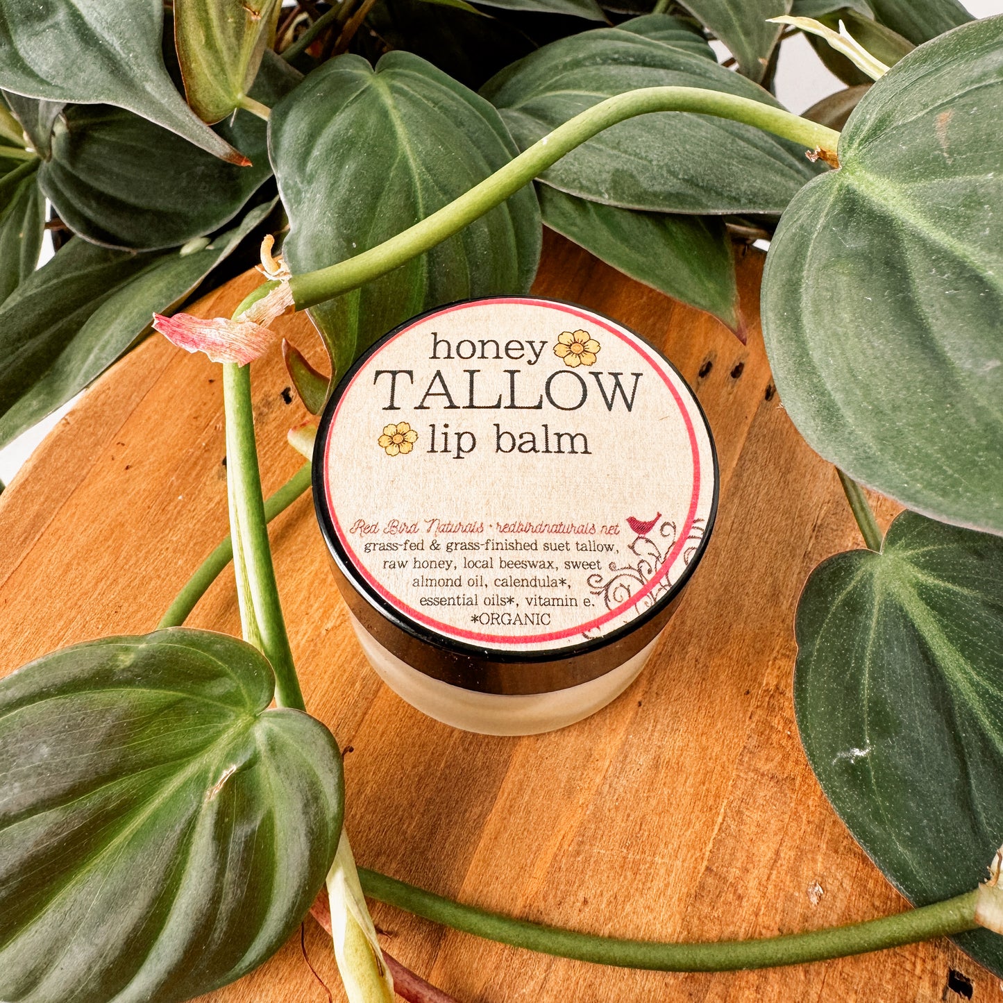 Honey Tallow Lip Balm