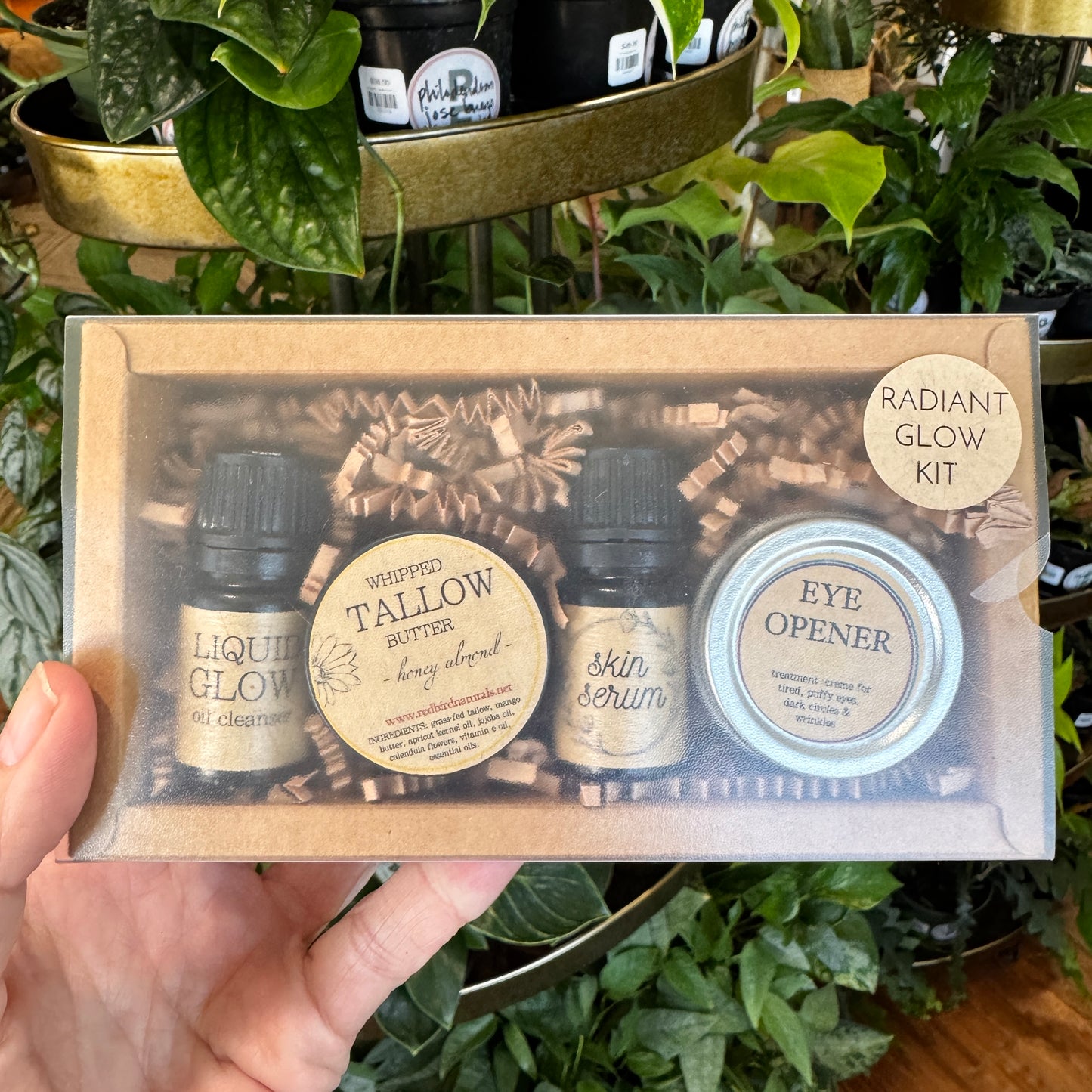 Radiant Glow Kit