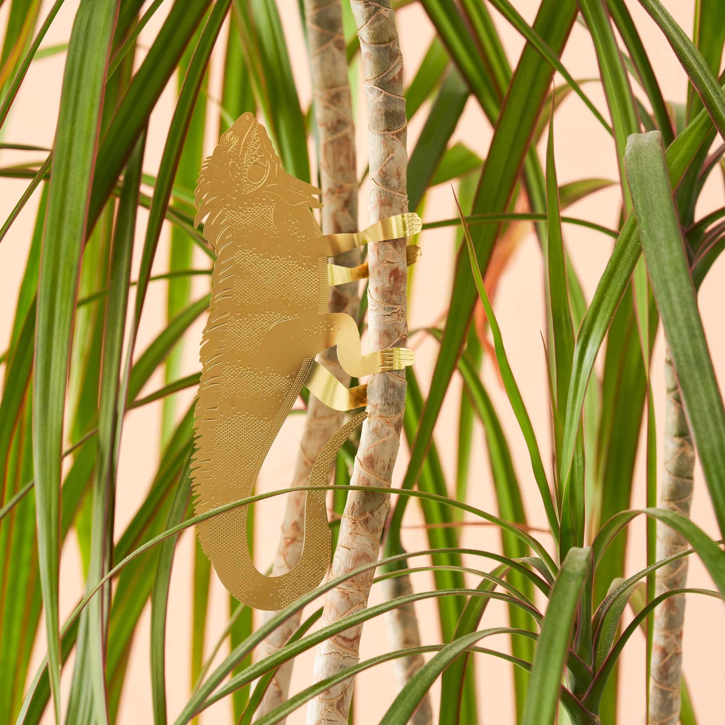 Plant Animal Iguana - brass plant decor