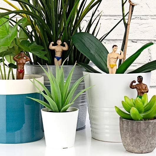 Mini Hunk Plant Markers