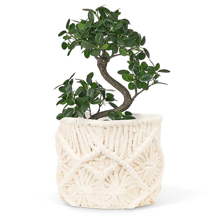 Sm Macrame Style Planter-4.5"D