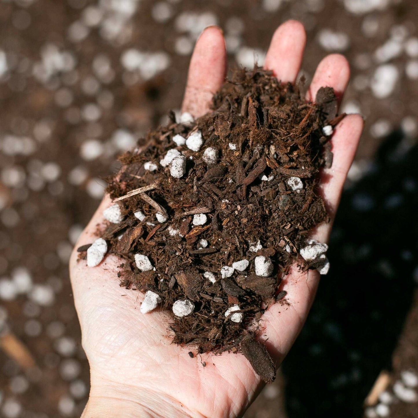 Premium Houseplant and Aroid Potting Mix (4 QT)