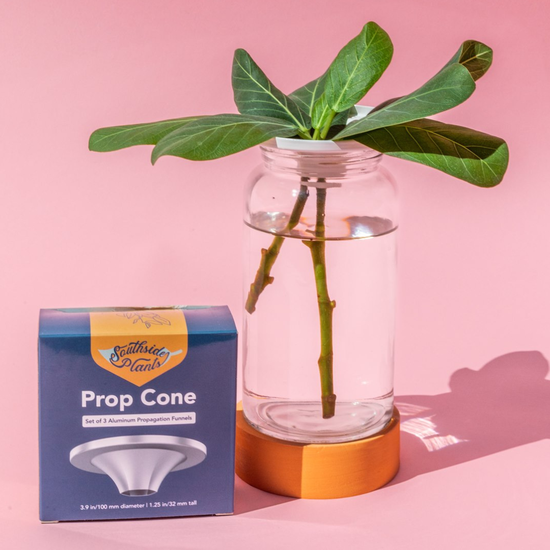 Propagation Cones - 3 pack