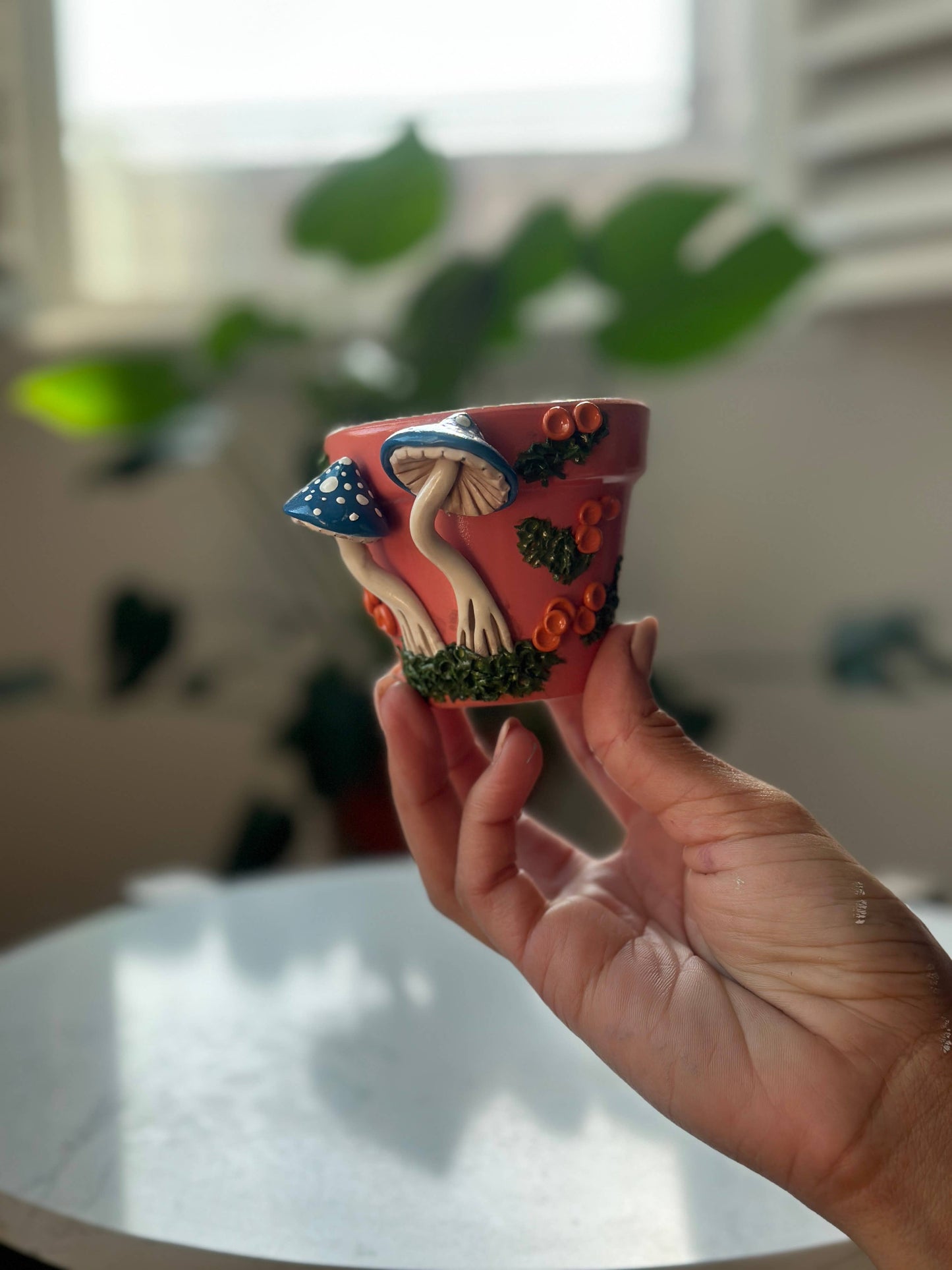 Mushroom Plant Pots