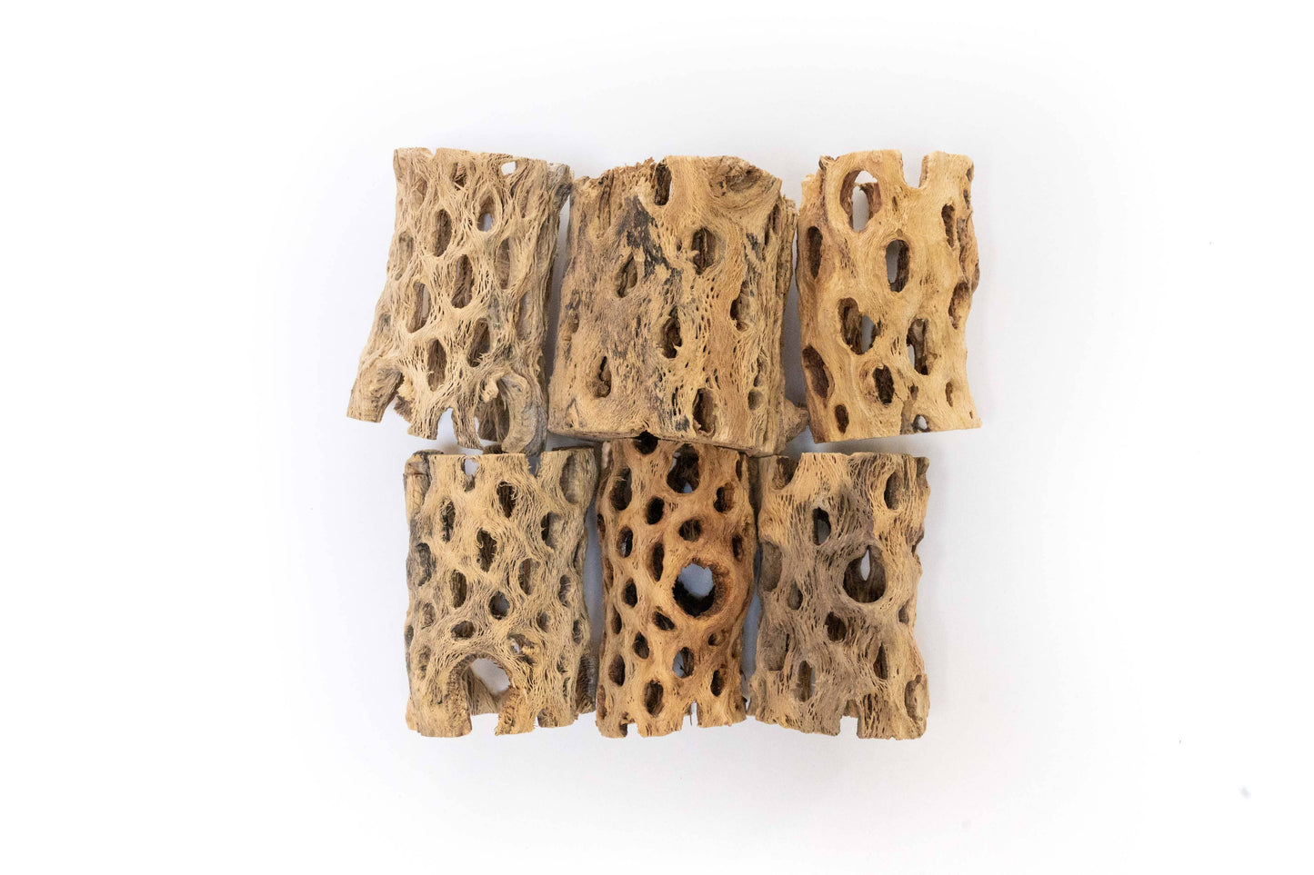 Natural Cholla Wood Container - 3 Inches Tall