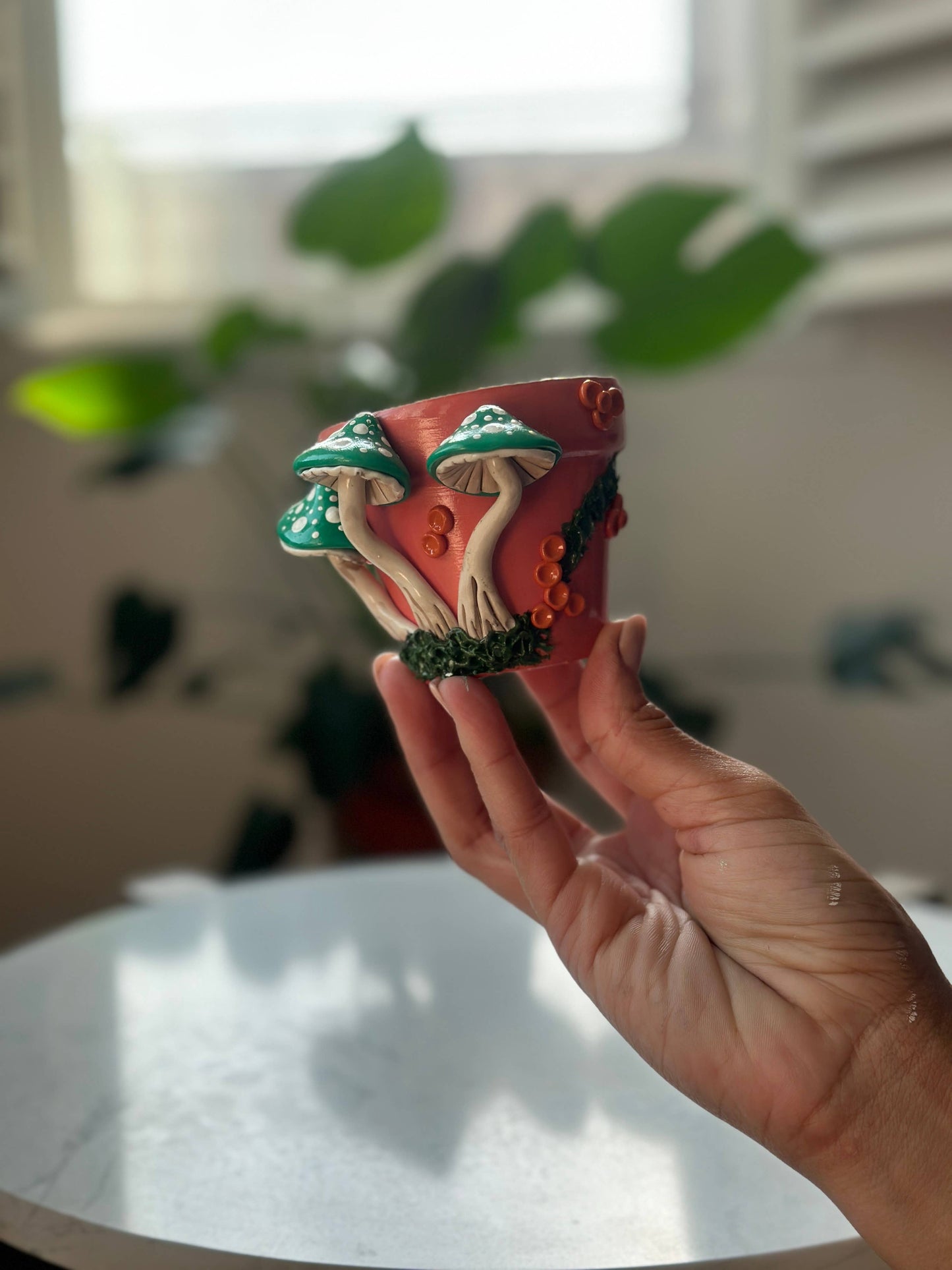 Mushroom Plant Pots