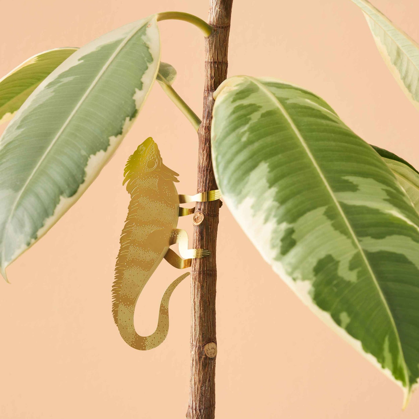 Plant Animal Iguana - brass plant decor