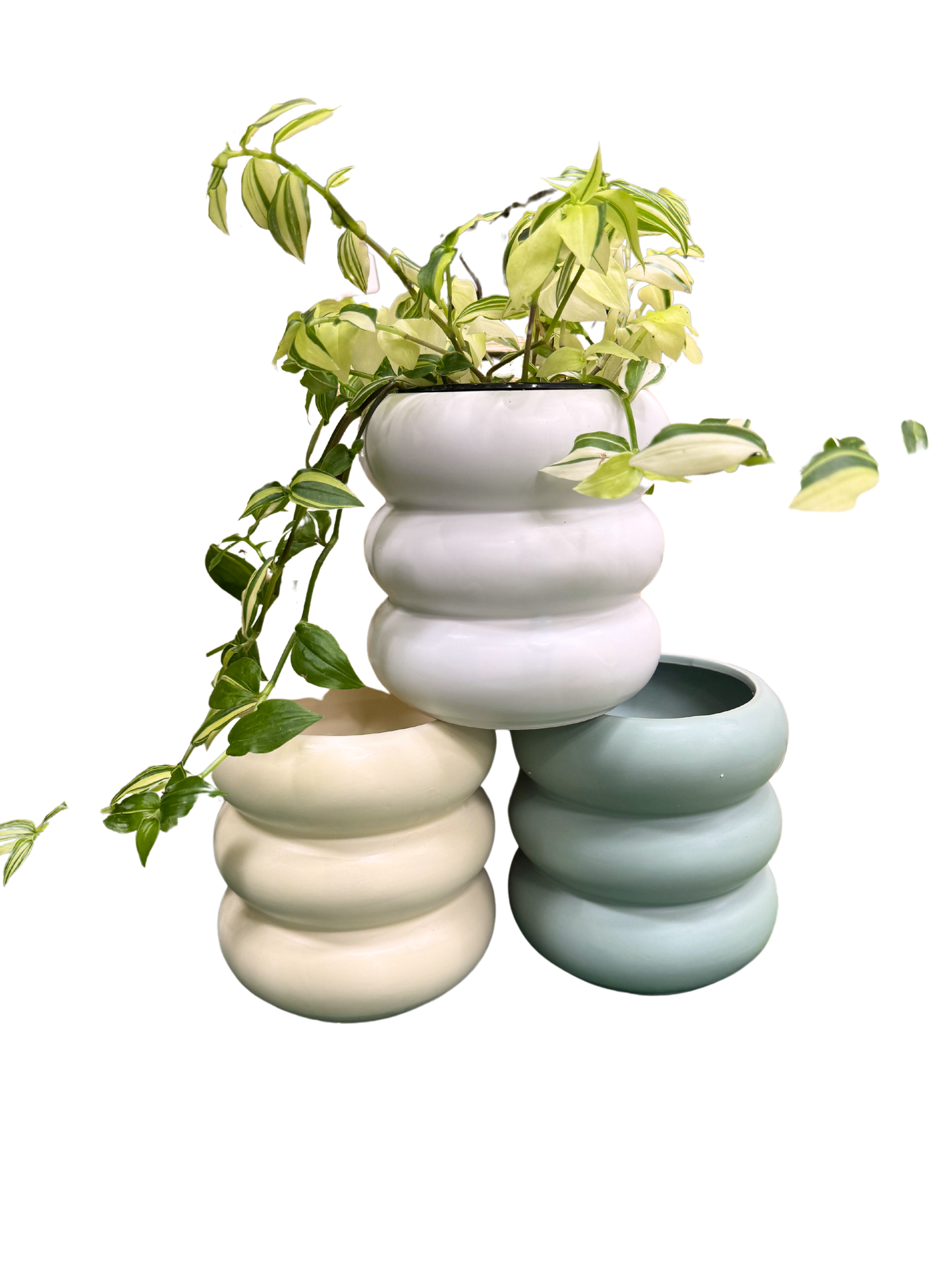 Ribbed Planter