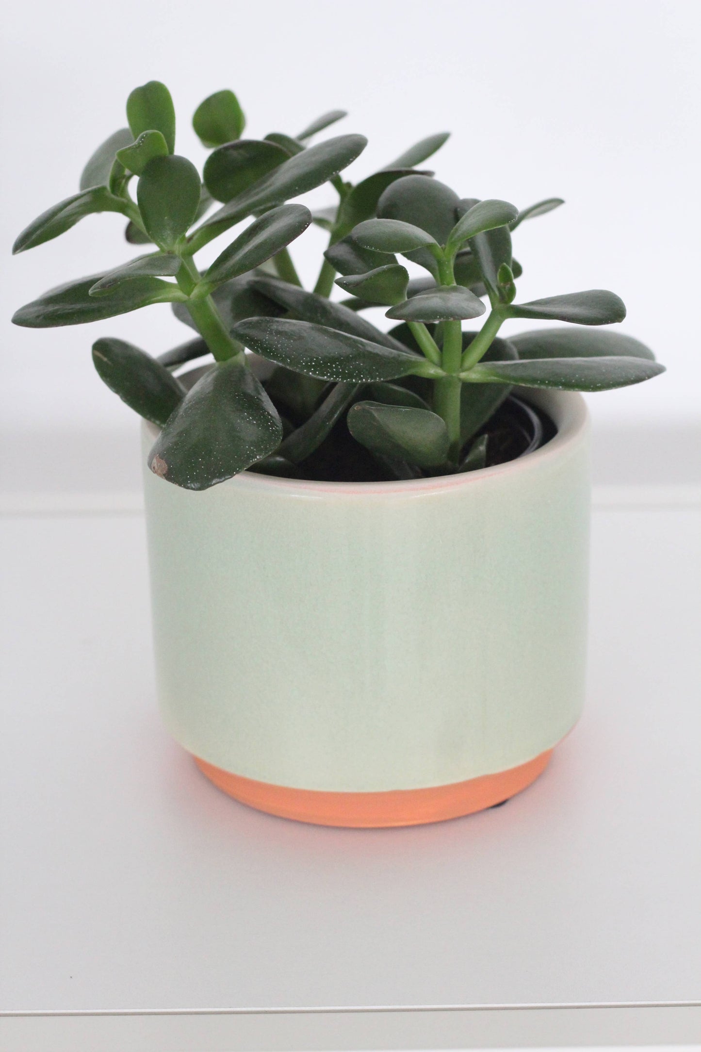 Large Sage Green and Terracotta Ceramic Round Planter Pot
