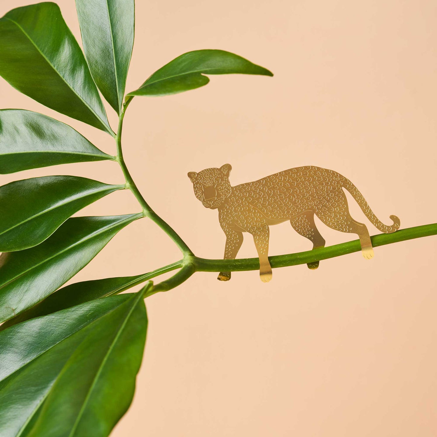 Plant Animal Leopard - brass cat decoration