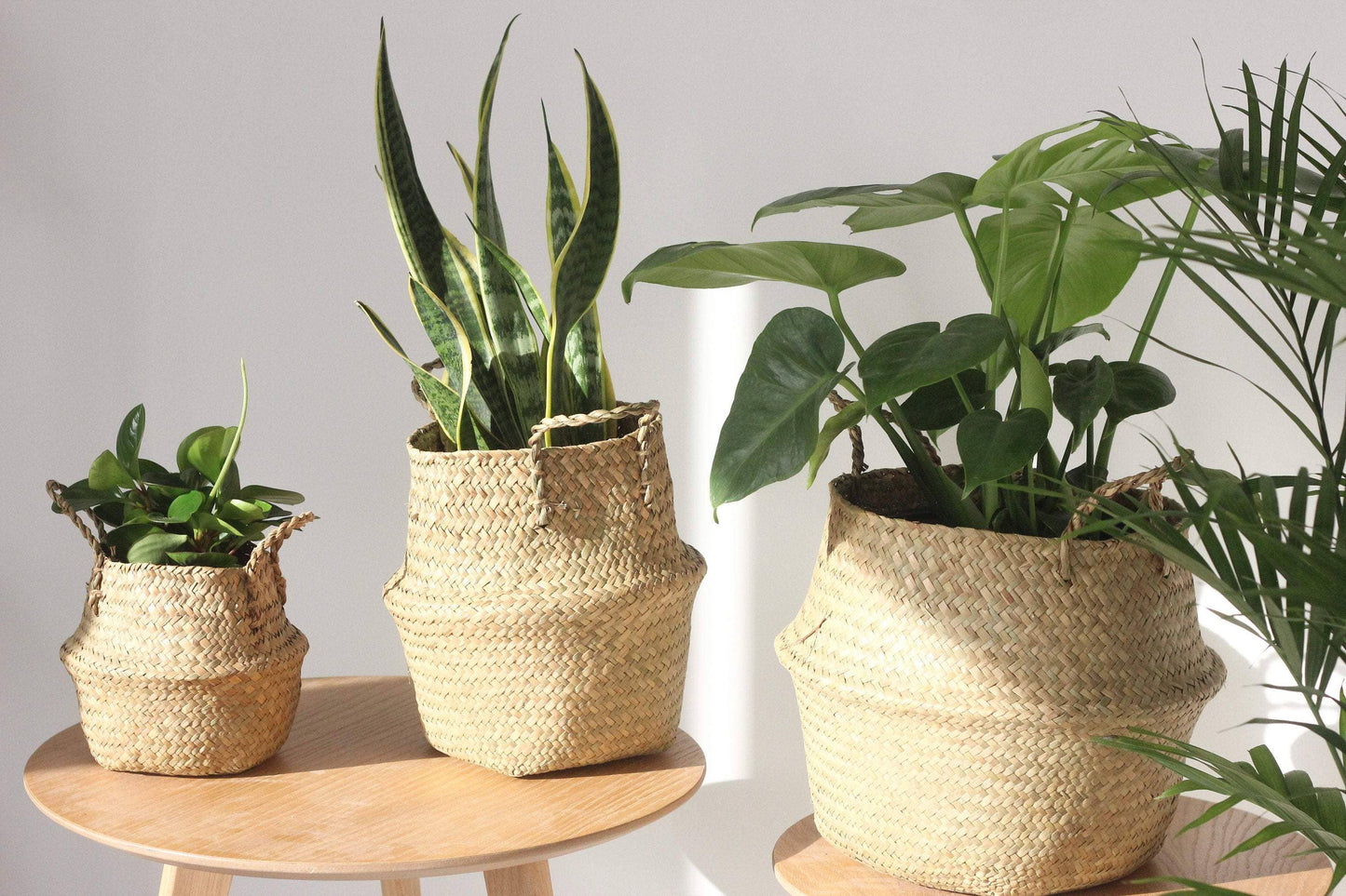 Woven Seagrass Belly Basket Planter