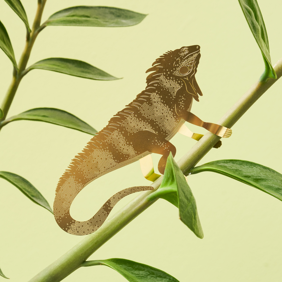 Plant Animal Iguana - brass plant decor