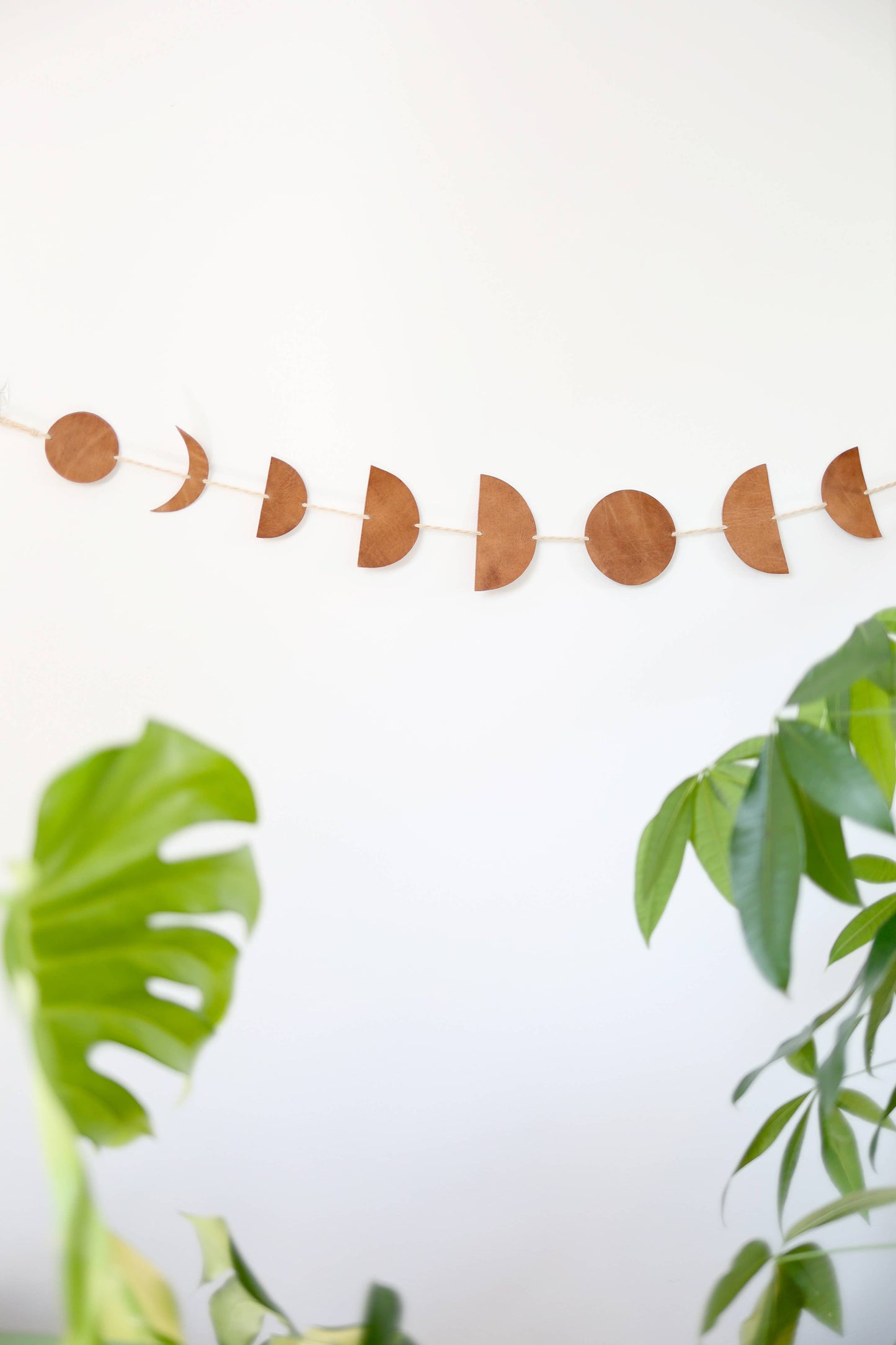 Luna Moon Phase Garland md.