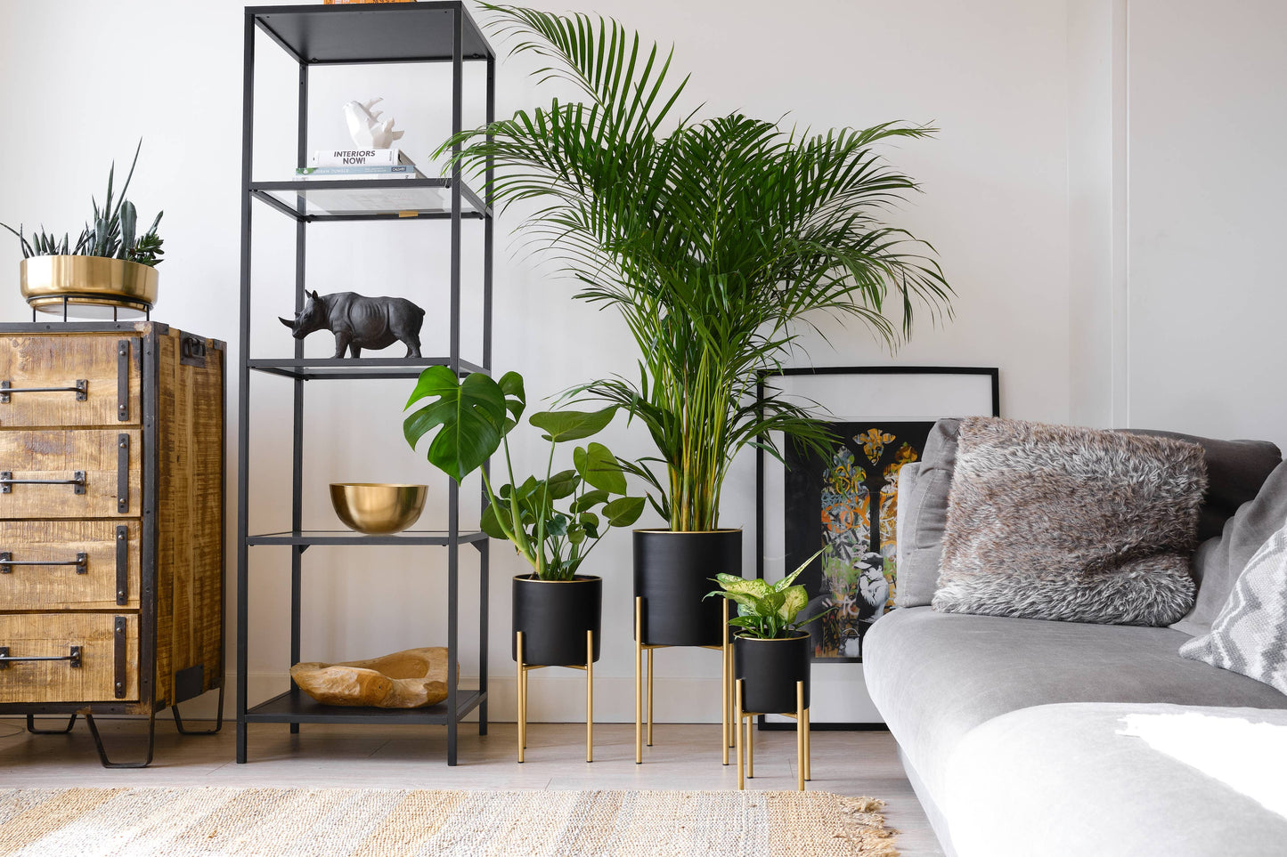Black Planter w/ Gold Stand