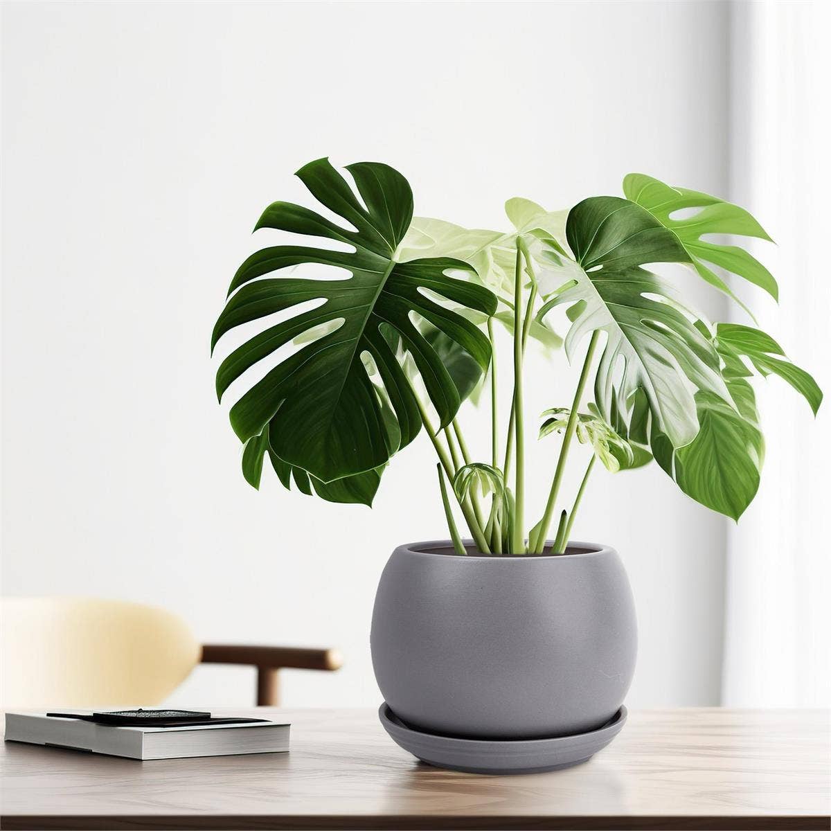 Matte Ceramic Planter