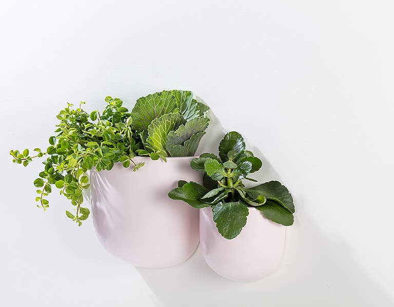 pink wall planter