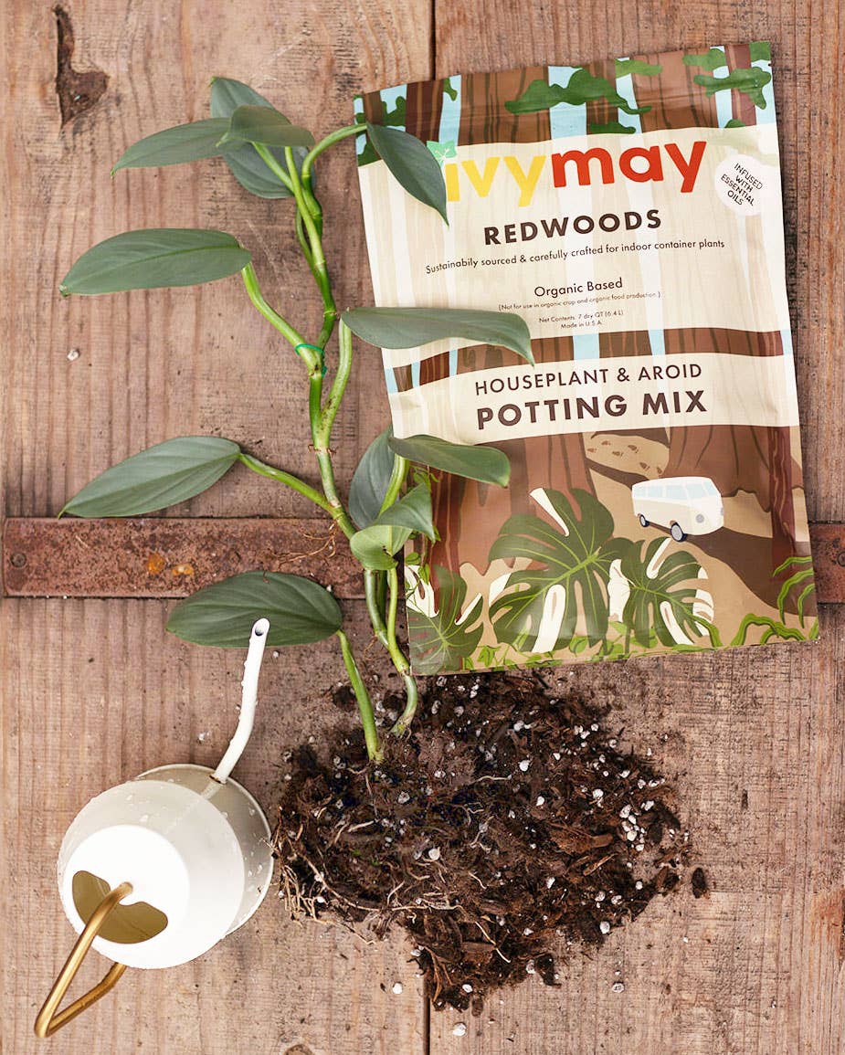 Premium Houseplant and Aroid Potting Mix (4 QT)