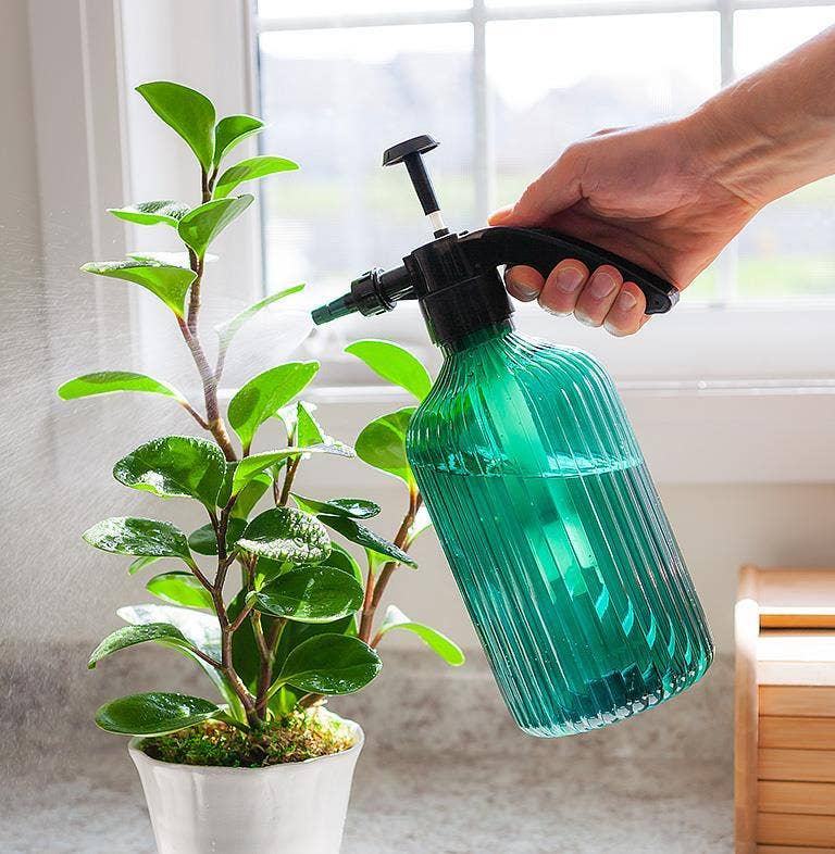 Teal Pump Sprayer