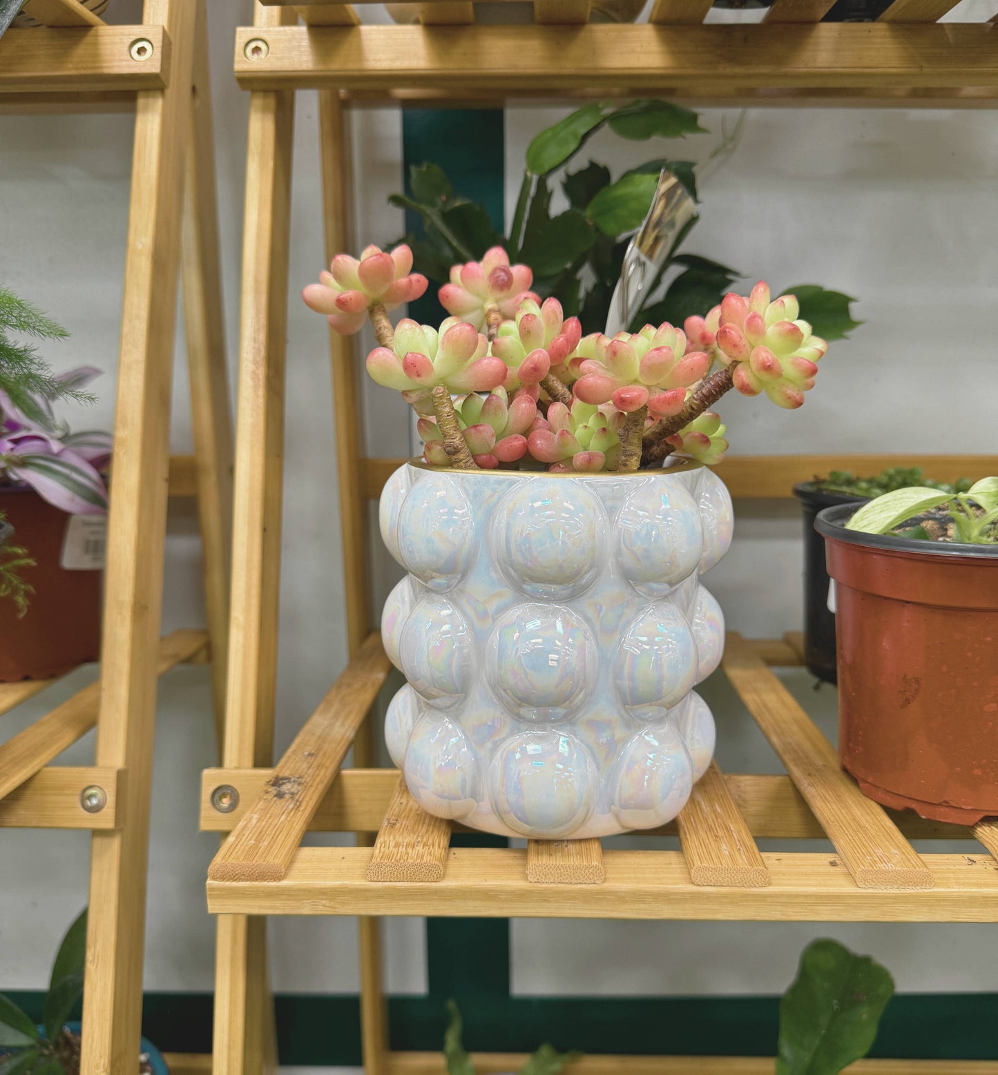 Glazed Bubble Planter