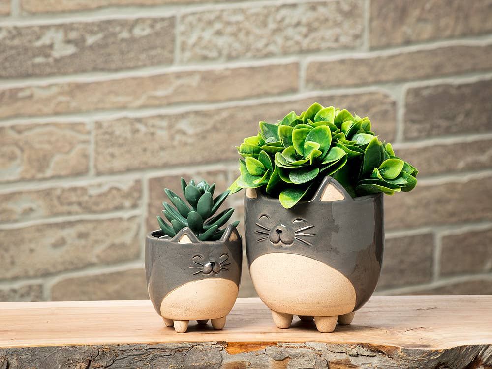 Cat Planter