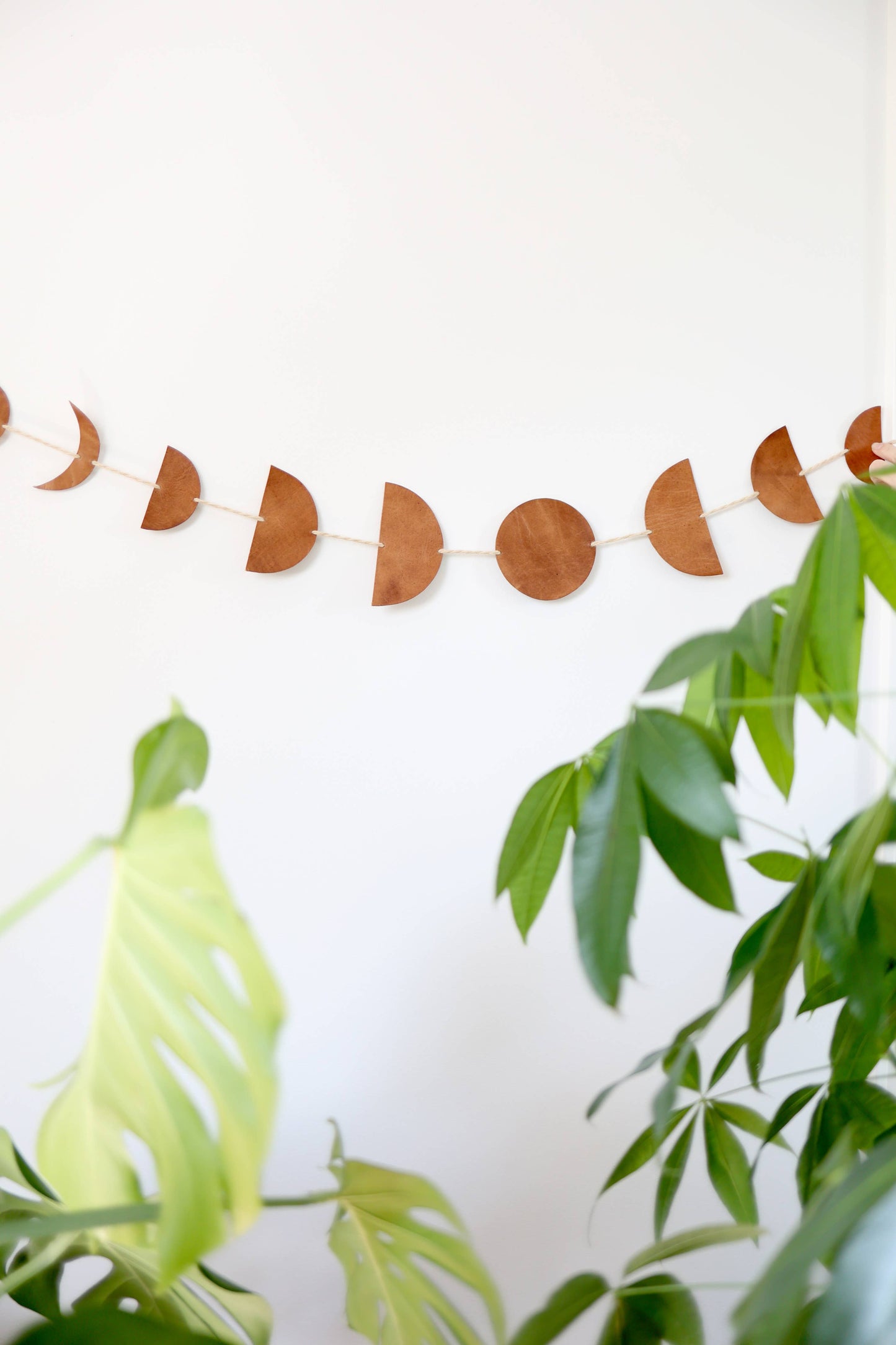 Luna Moon Phase Garland md.