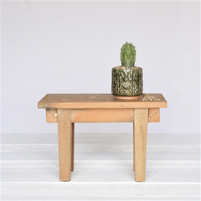 Cactus Motif Cachepot, Ceramic Sm