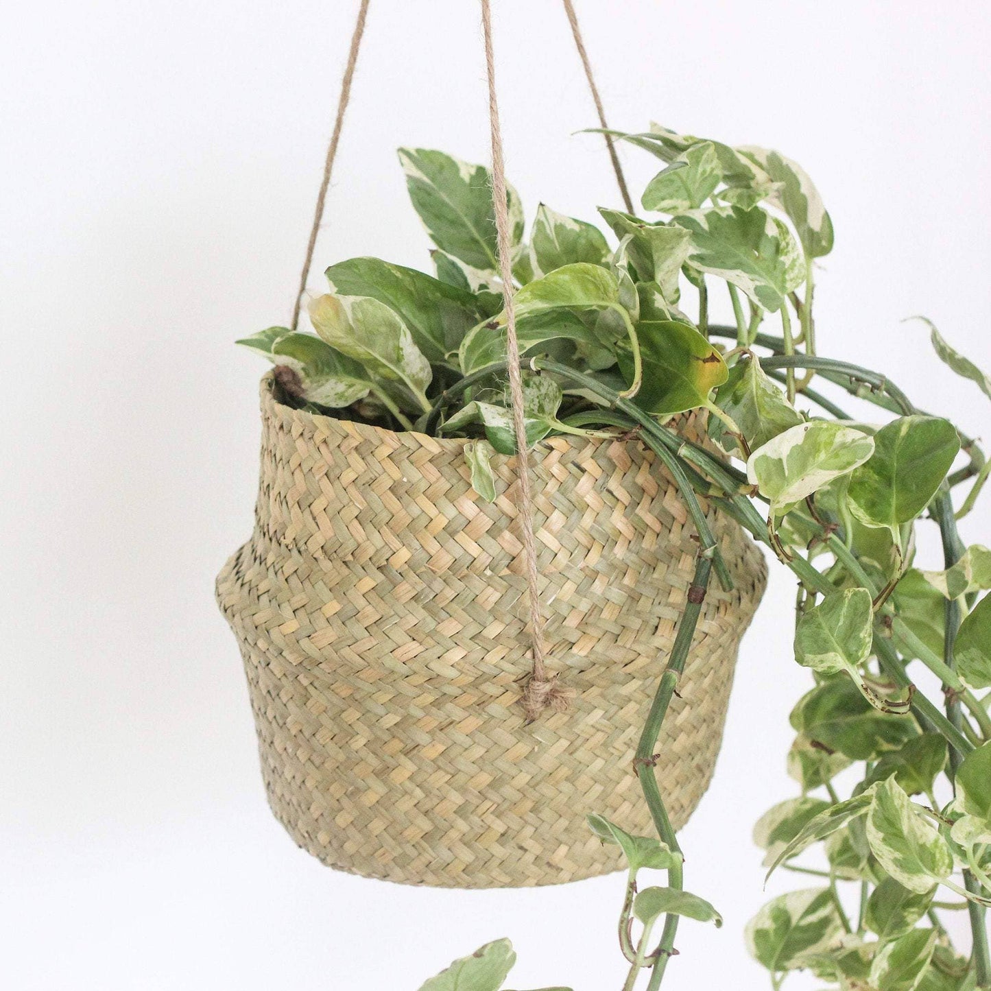 Boho Hanging Seagrass Belly Basket