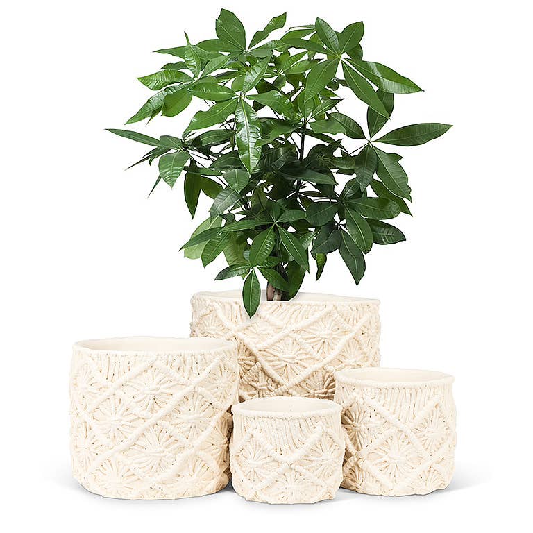 Sm Macrame Style Planter-4.5"D