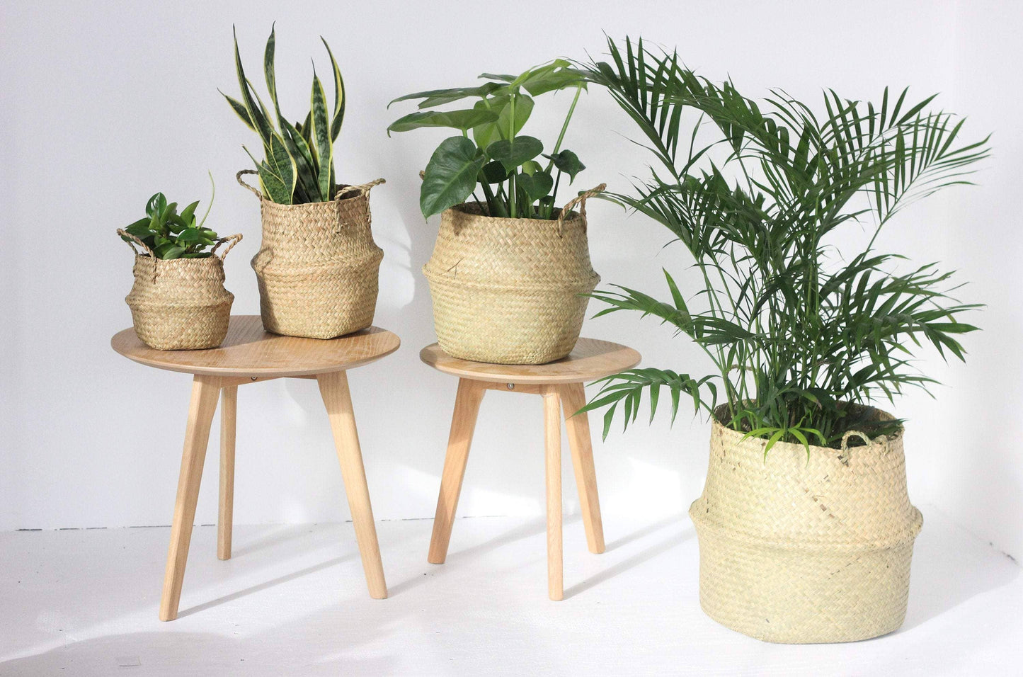Woven Seagrass Belly Basket Planter