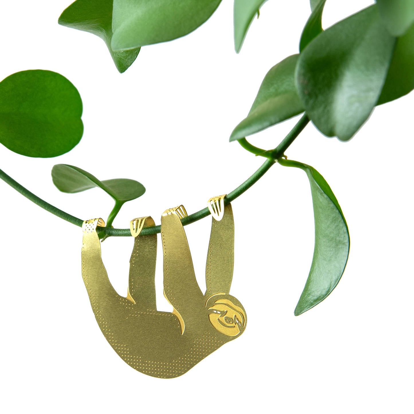 Plant Animal - Sloth