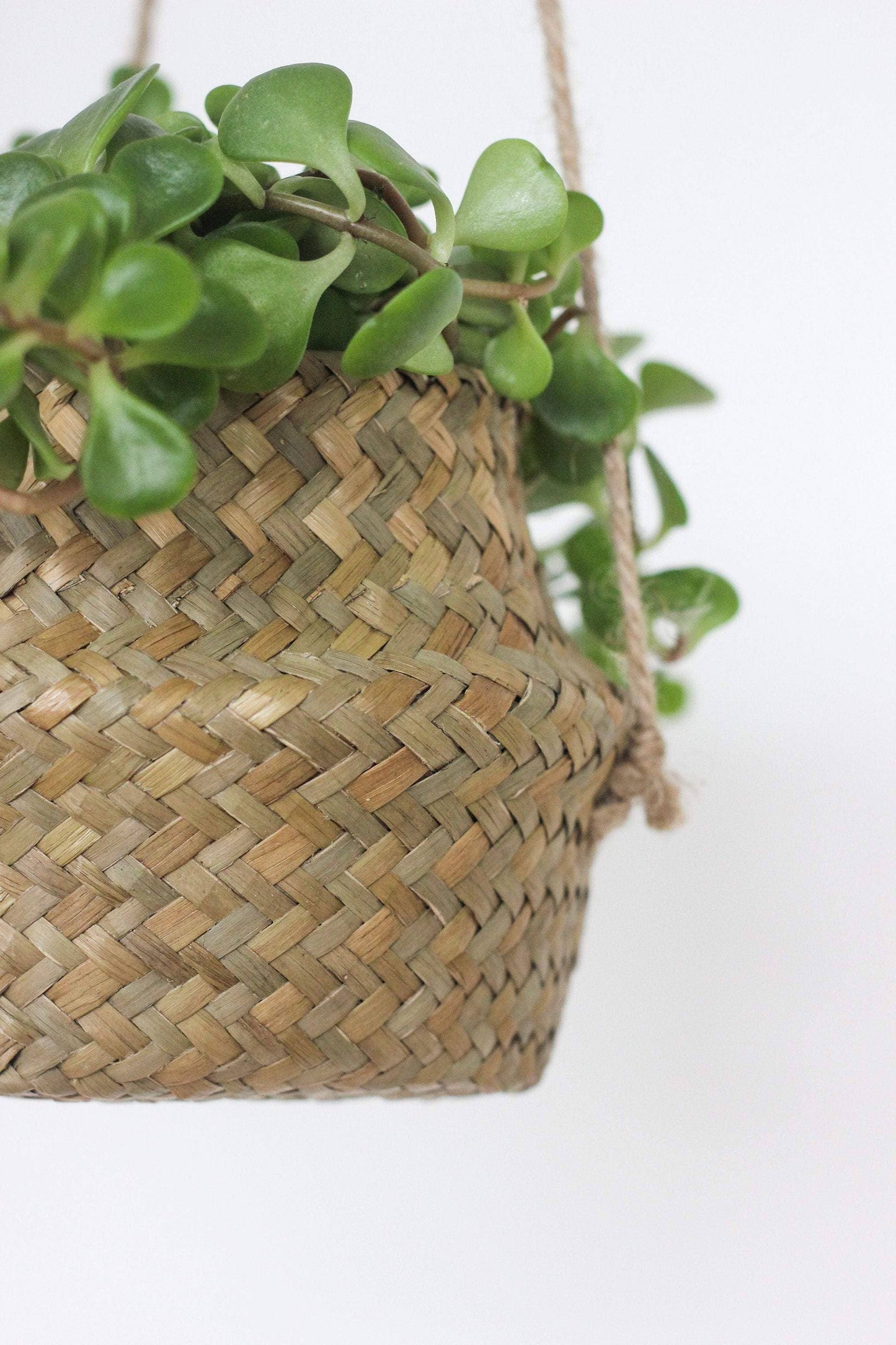 Boho Hanging Seagrass Belly Basket