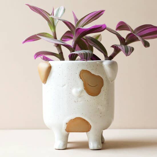 Natural Planter