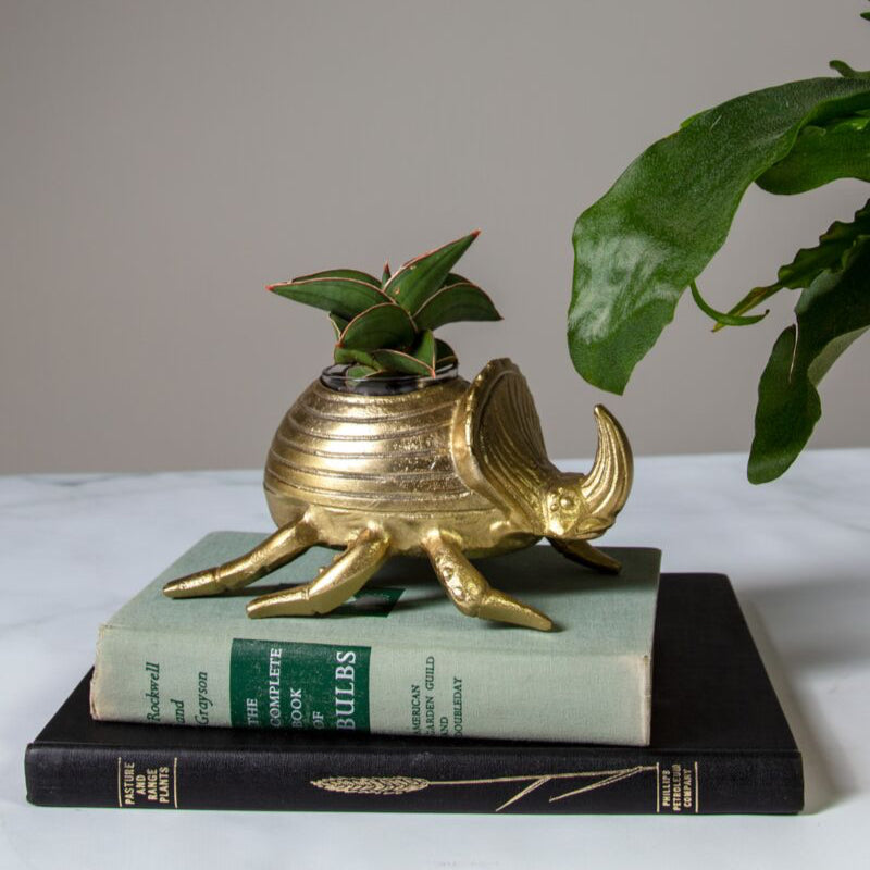 Golden Scarab Pot