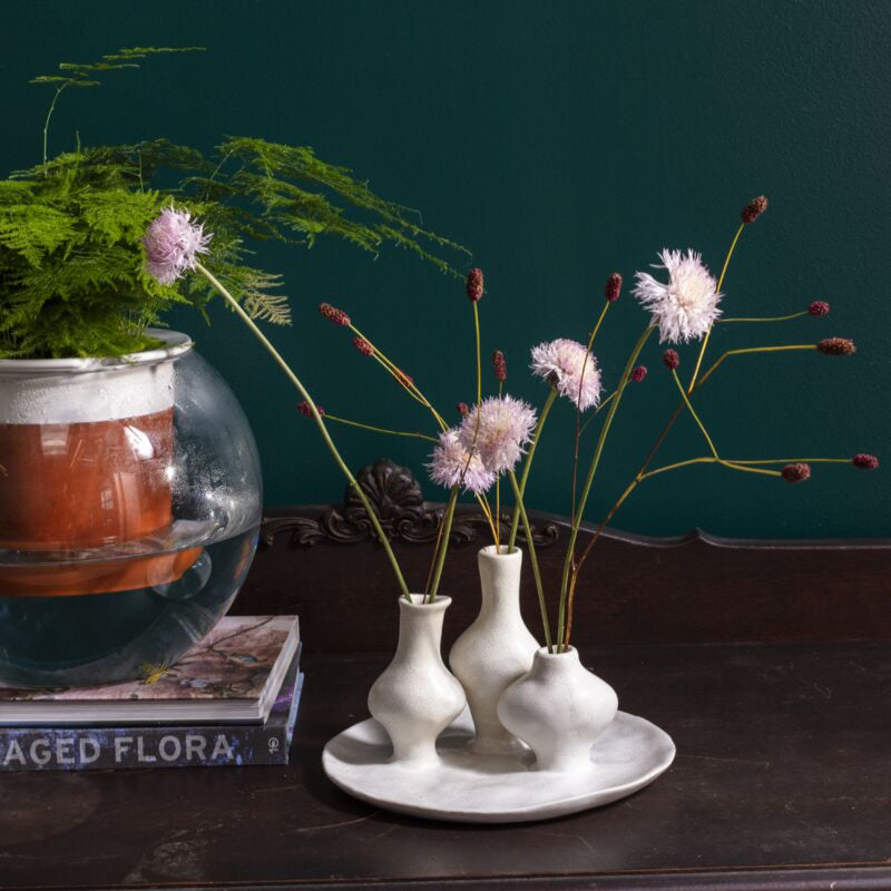 Zahara Budvase