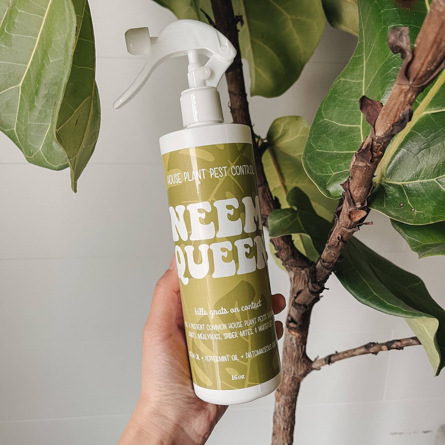 Neem Queen - House Plant Pest Control