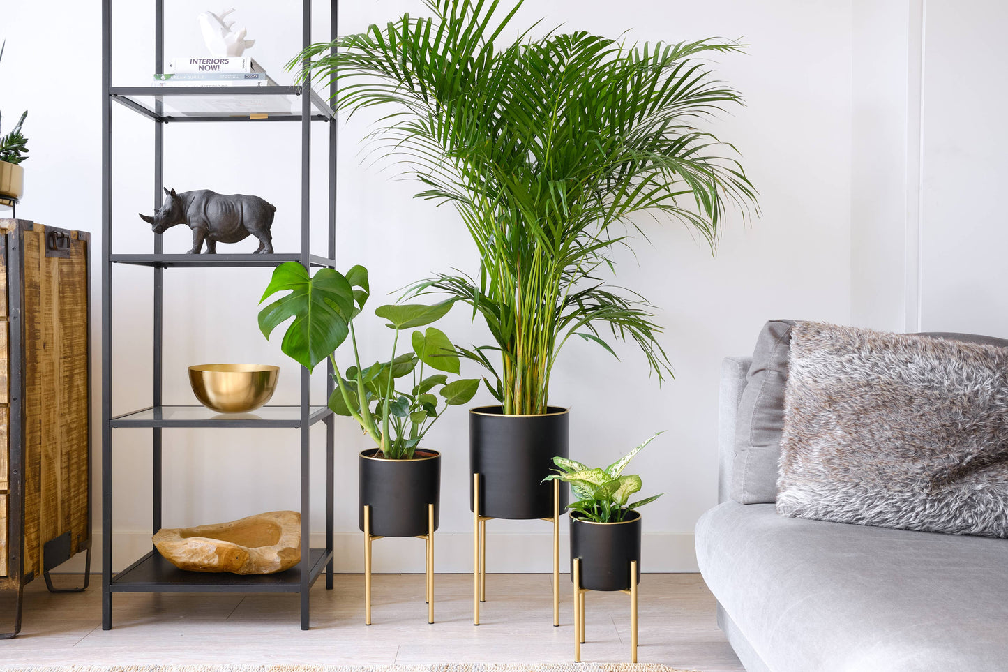 Black Planter w/ Gold Stand