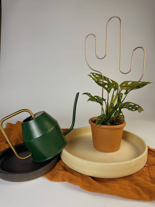 Cactus Copper Plant Trellis