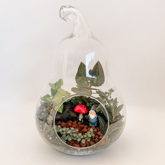 Open Terrarium Workshop | 10/22 5:30pm