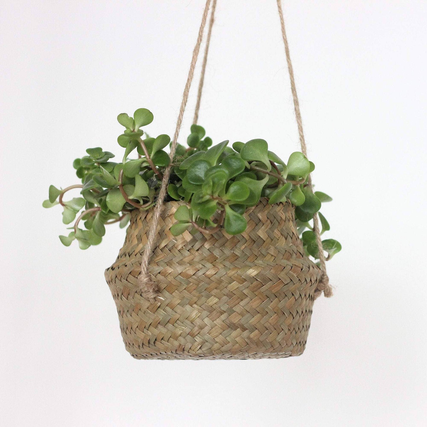 Boho Hanging Seagrass Belly Basket