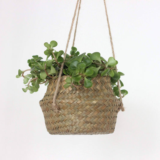 Boho Hanging Seagrass Belly Basket
