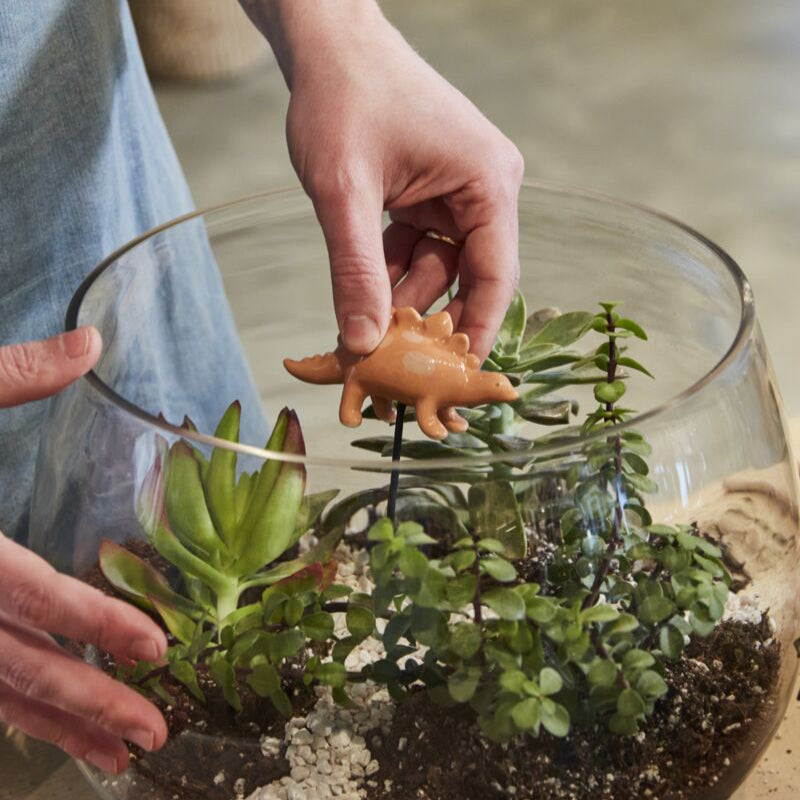 Dinosaur Friends Plant Stakes