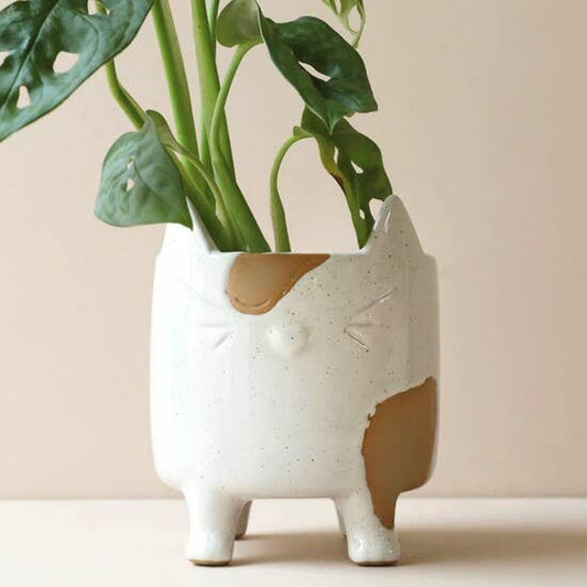 Natural Planter